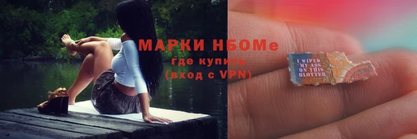 стафф Алзамай