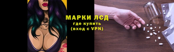 стафф Алзамай