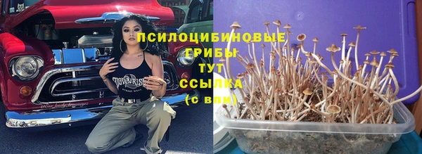 эйфоретик Алексин