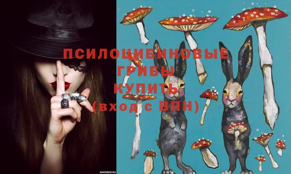 эйфоретик Алексин