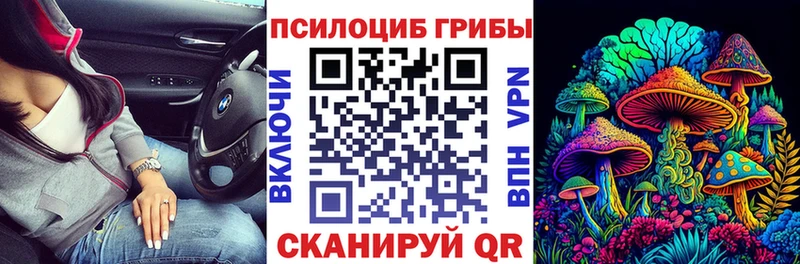 закладка  Нижние Серги  мега как войти  Галлюциногенные грибы MAGIC MUSHROOMS 